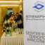 Stemphys
