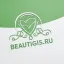 Сеть бьюти школ "Beautygis.ru"